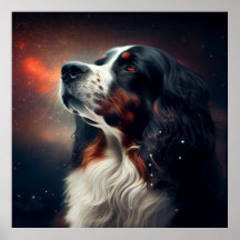 Poster Star Dog