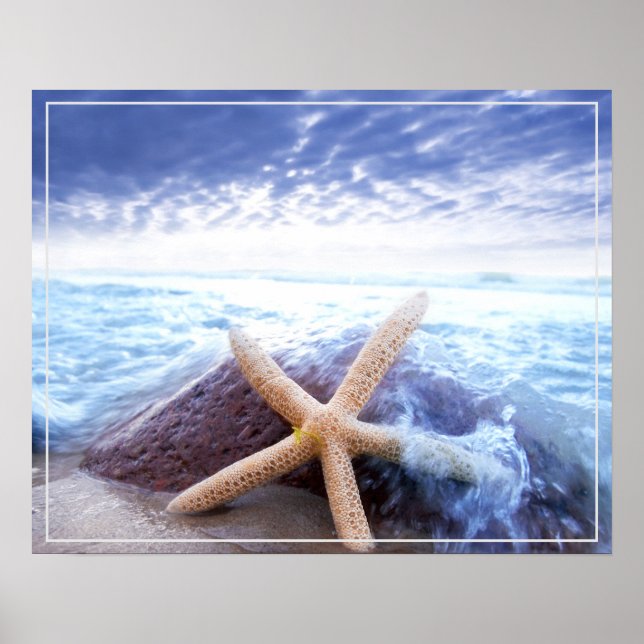 Poster-Starfish Poster (Vorne)