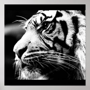 Poster-Tiere-40 Poster