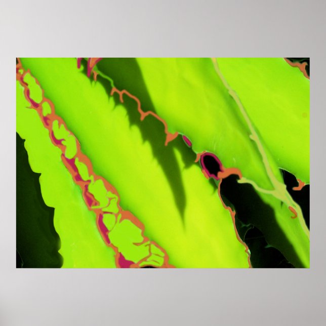 POSTER UND DRUCKEN (Vorne)