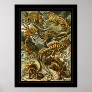 Poster Vintag Artist Ernst Haeckel Lacertilia