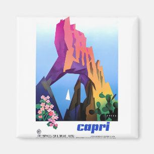 Poster Vintag Capri Magnet
