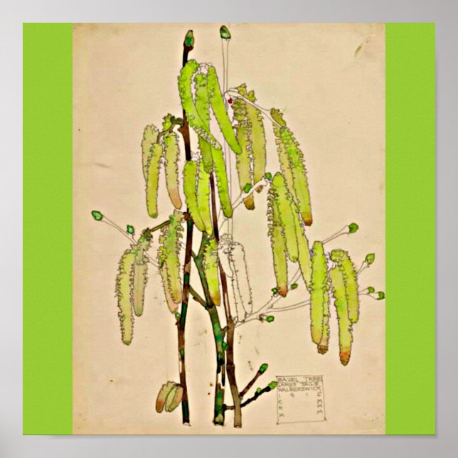 Poster-Vintag-Charles Rennie Mackintosh 13 Poster (Vorne)