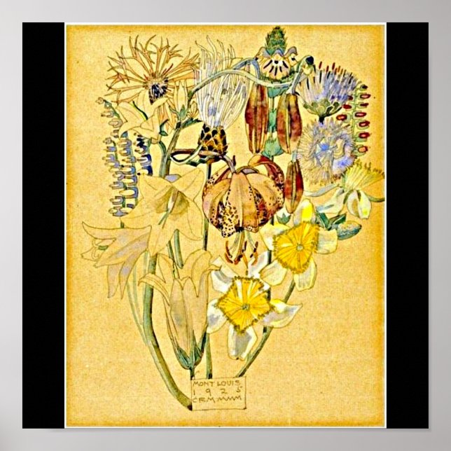 Poster-Vintag-Charles Rennie Mackintosh 26 Poster (Vorne)