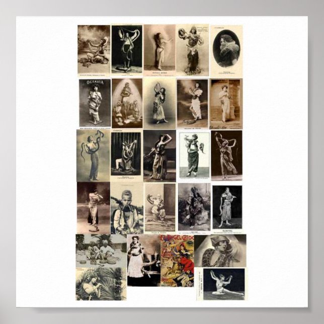 Poster-Vintag-Schlangen-Handler Poster (Vorne)