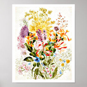 Poster-Vintage Illustration-Beatrix Potter 10 Poster