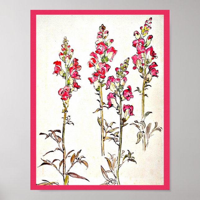 Poster-Vintage Illustration-Beatrix Potter 7 Poster (Vorne)