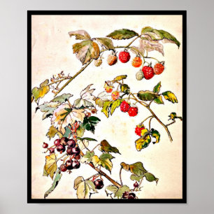 Poster-Vintage Illustration-Beatrix Potter 9 Poster