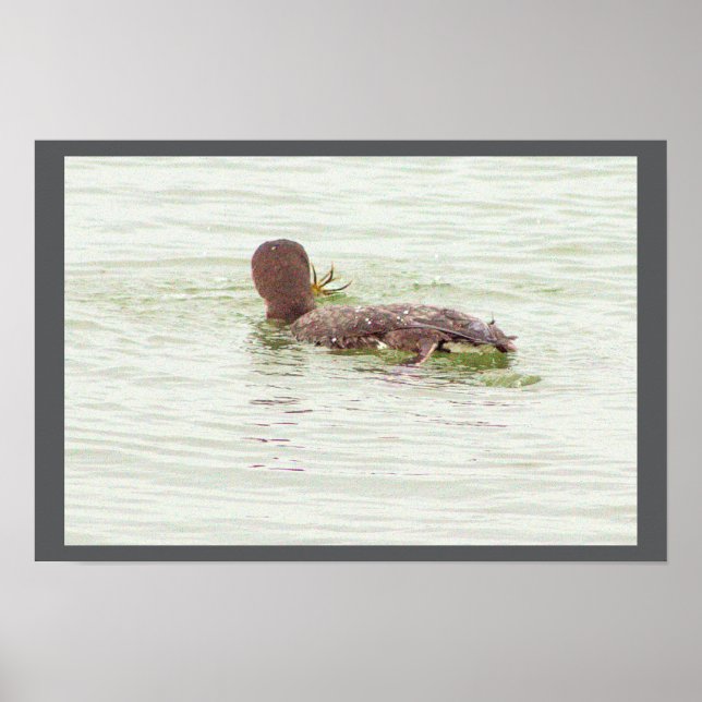 Poster Vogelangeln im Ozean (Vorne)