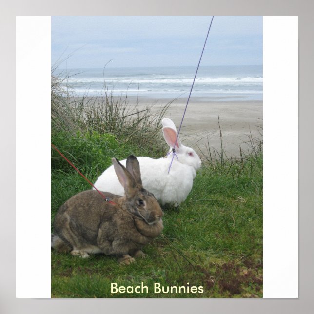Poster von Beach Bunnies - individuell gestaltet (Vorne)