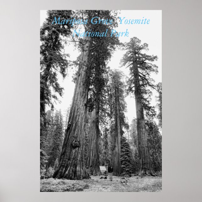 Poster von Giants (Vorne)