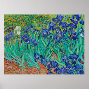 Poster von Van Goghs Schwertlilien