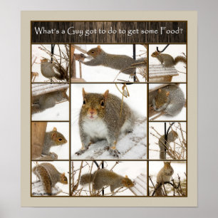 Poster - Was Got ein Typ zu tun, um etwas zu essen