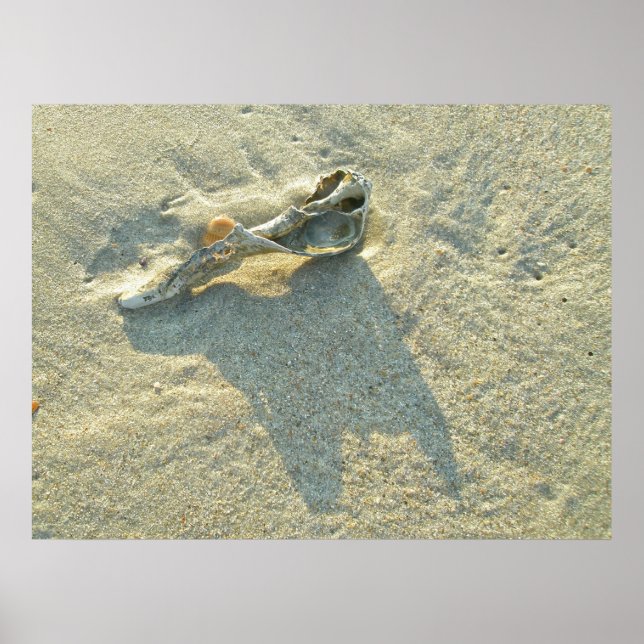 Poster Wave-Washed-Muschel (Vorne)