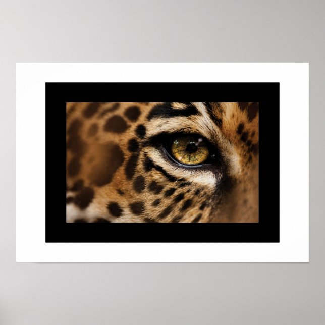 Poster-Wild Cat Poster (Vorne)