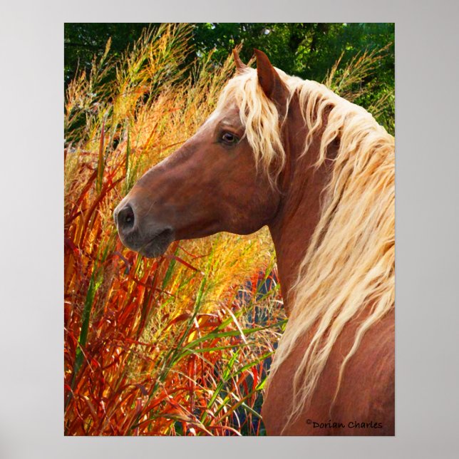 Poster "Wildfire" (Vorne)