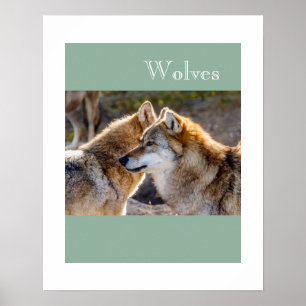 Poster-Wolves Poster