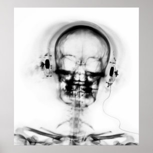 POSTER- X-RAY MUSIC SKELETON BLACK GRAY B&W POSTER