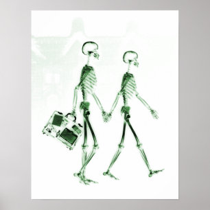 Poster- X-Ray Skeleton Couple Reisen grün Poster