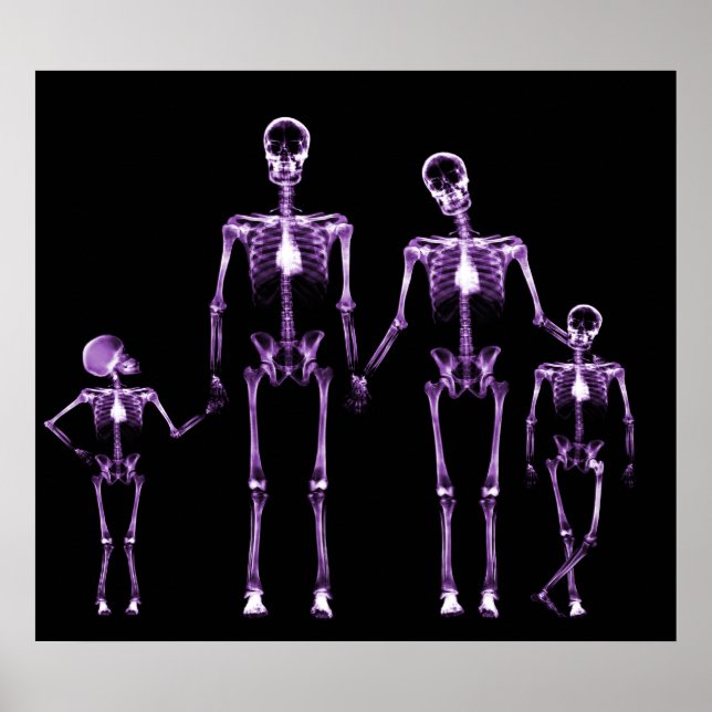 POSTER- X-RAY SKELETON FAMILY BLACK LILA POSTER (Vorne)