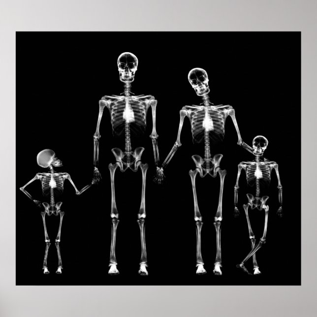 POSTER - X-RAY SKELETON FAMILY BLACK & WHITE (Vorne)