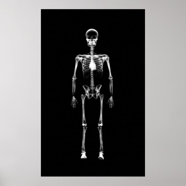 Poster - X-Ray Vision Single Skelett Schwarz-weiß (Vorne)