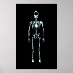 Poster - X-Ray Vision Single Skeletton Original