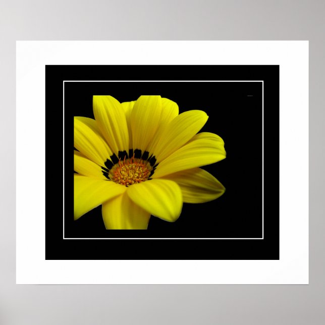 Poster-Yellow Daisy Poster (Vorne)