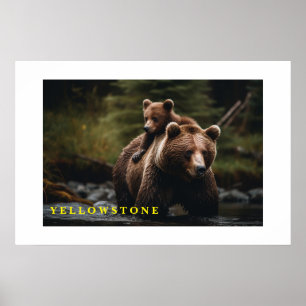 Poster-Yellowstone-Bär Poster