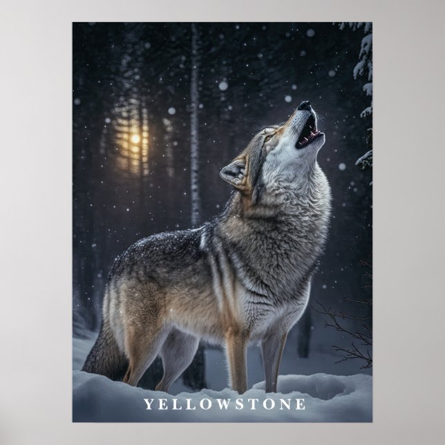 Poster Yellowstone Wolf (Vorne)