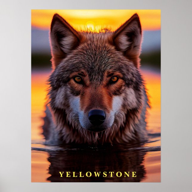 Poster Yellowstone Wolf (Vorne)