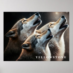 Poster Yellowstone-Wölfe