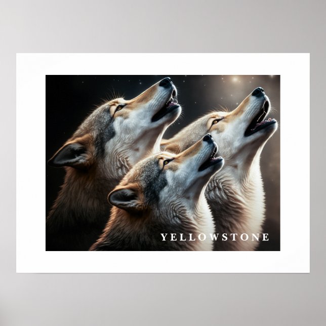 Poster Yellowstone Wolves (Vorne)