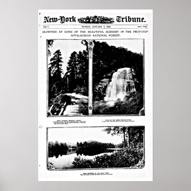 Poster-Zeitungscover-24 Poster (Vorne)