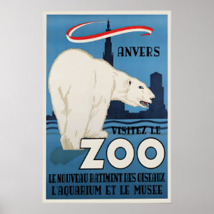 Poster Zoo Antwerpen Eisbär Vintage Art Wand