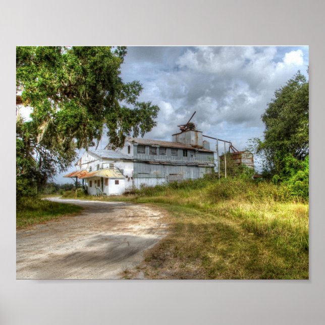 Poster - Zuckerrohrsäule (Vorne)