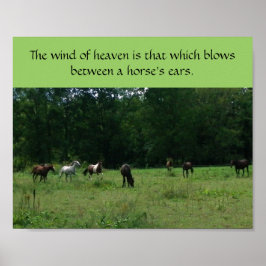 Poster zur Unterstützung von Rassenpferden