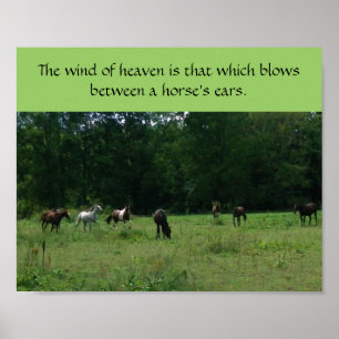 Poster zur Unterstützung von Rassenpferden