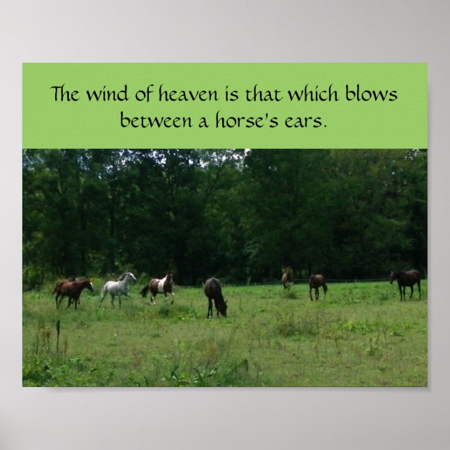 Poster zur Unterstützung von Rassenpferden (Vorne)