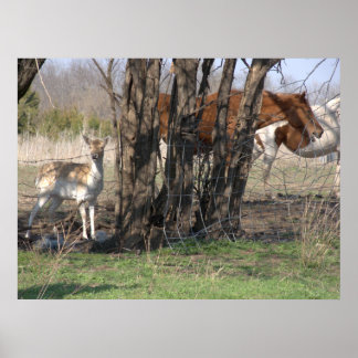 Poster zusammenleben