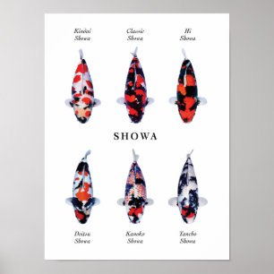Posterart japanischer Koi-Fisch: Showa Poster
