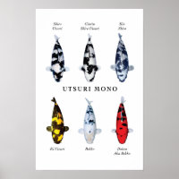 Posterart japanischer Koi-Fisch: Utsurimono