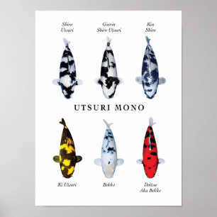 Posterart japanischer Koi-Fisch: Utsurimono Poster