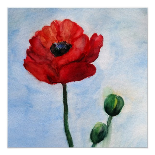 Posterpapier aus rotem Mohn (Semi Gloss) Poster (Vorderseite)