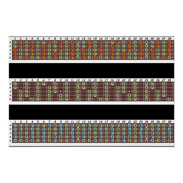 Posterpapier für die Bass Notes (Halbschall) Poster (Vorderseite)