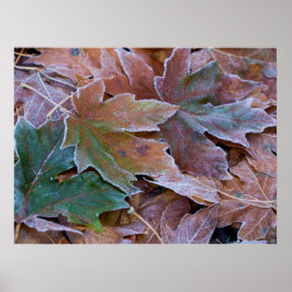 Posterpapier vom Herbst (Matte) Poster