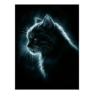 Posters Dives Cat 2 Poster