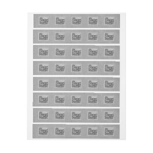 PostGewerkschafts-Kongreß 1929 1 Rundum-Adressaufkleber