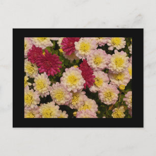 Postkarte