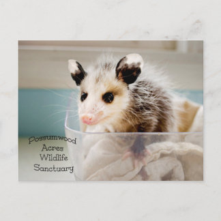 Postkarte
